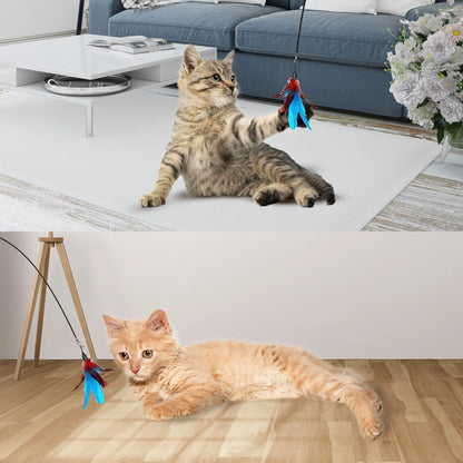 Interactive Cat Toy Wand - 10-in-1 Hands-Free Natural Bird Feather and Ball Set with Suction Cup for Indoor Play