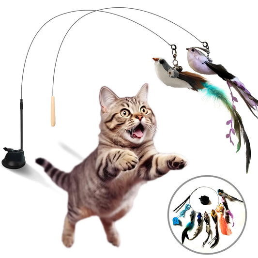 Interactive Cat Toy Wand - 10-in-1 Hands-Free Natural Bird Feather and Ball Set with Suction Cup for Indoor Play